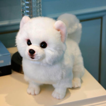 Realistic Pomeranian Dog Stuffed Animal Plush Toy